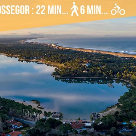* Hossegor * Renove * Piscine * Parking * Famille 公寓 索尔特奥瑟戈尔